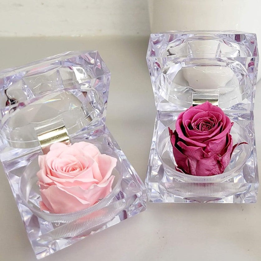 Preserved Rose