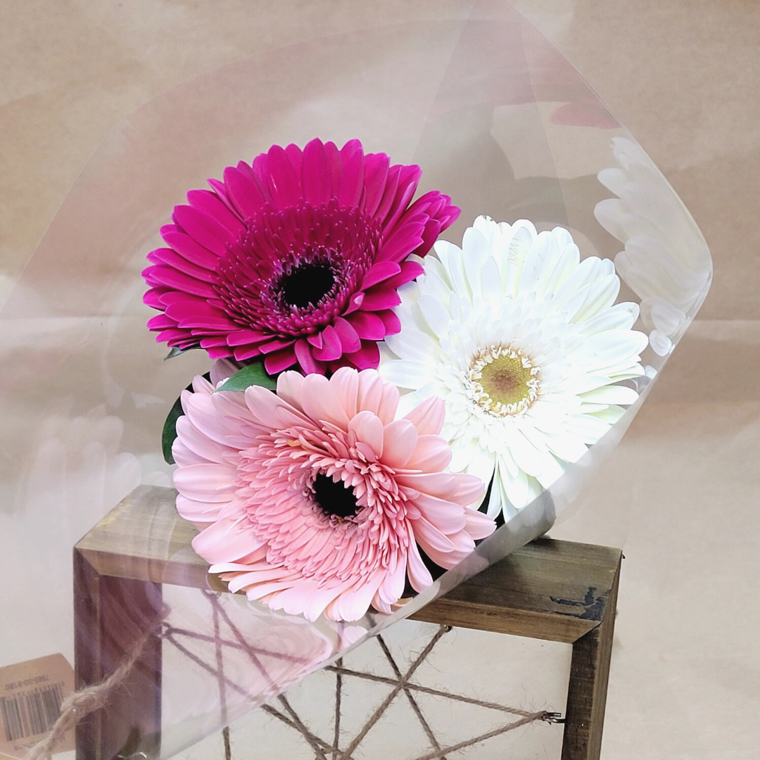 Single Type - Gerbras Assorted colors