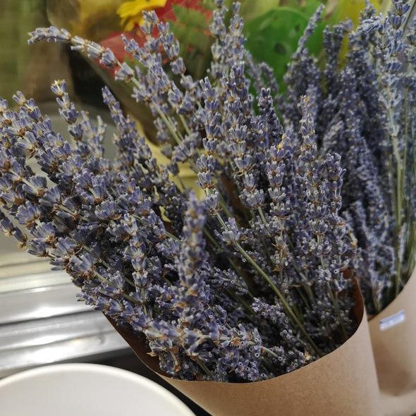 Dried Lavender