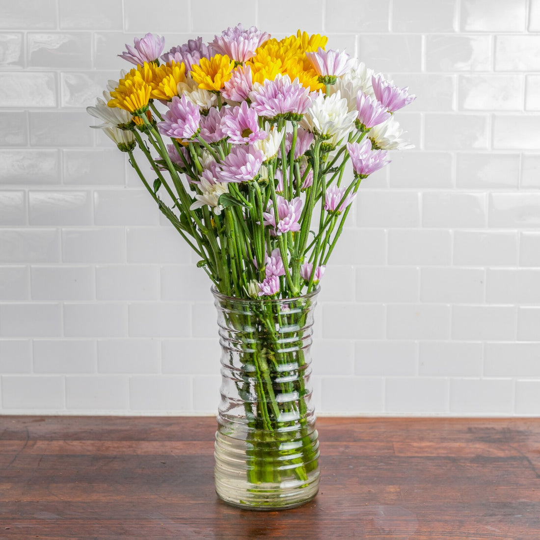 Single Type - Daisies